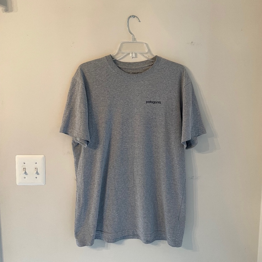 Patagonia T-shirt Gray  - Mens - Large